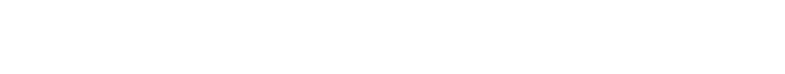 Exec Statement
